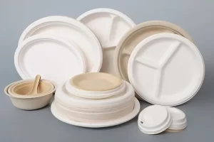 Disposable Paper Tableware_HGHY